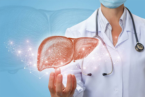 Liver Master Health Checkup